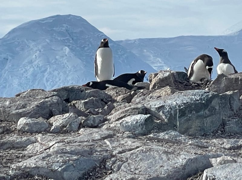 Antarctica3-1.jpeg